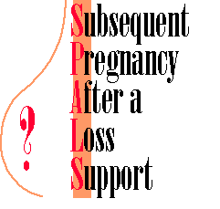 Subsequent Pregnancy After a Loss Support